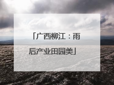 广西柳江：雨后产业田园美