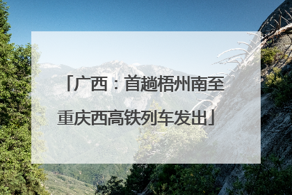 广西：首趟梧州南至重庆西高铁列车发出
