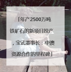 年产2500万吨铁矿石的新项目投产，宝武董事长：中澳资源合作的里程碑