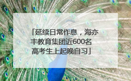 延续日常作息，海亦丰教育集团近600名高考生上起晚自习