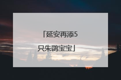 延安再添5只朱鹮宝宝