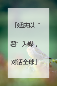 延庆以“薯”为媒，对话全球
