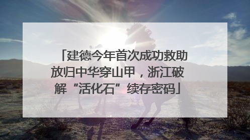 建德今年首次成功救助放归中华穿山甲，浙江破解“活化石”续存密码