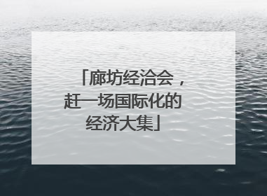 廊坊经洽会，赶一场国际化的经济大集