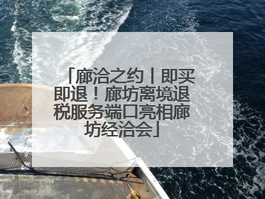 廊洽之约丨即买即退！廊坊离境退税服务端口亮相廊坊经洽会
