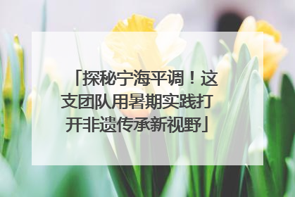 探秘宁海平调！这支团队用暑期实践打开非遗传承新视野