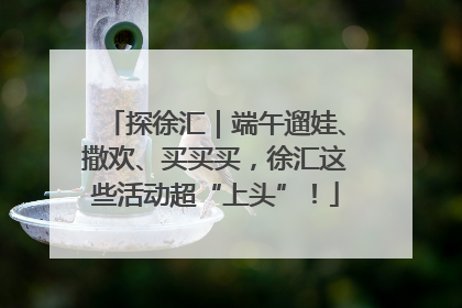 探徐汇｜端午遛娃、撒欢、买买买，徐汇这些活动超“上头”！