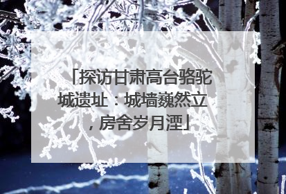 探访甘肃高台骆驼城遗址：城墙巍然立，房舍岁月湮
