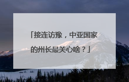 接连访豫，中亚国家的州长最关心啥？