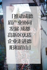 推动成德眉产业协同发展 成都高新区优质企业走进德阳和眉山
