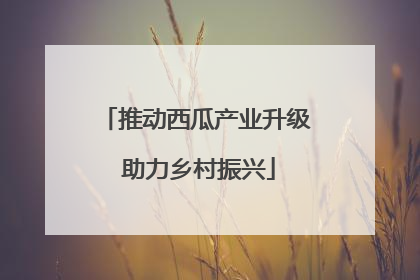 推动西瓜产业升级 助力乡村振兴
