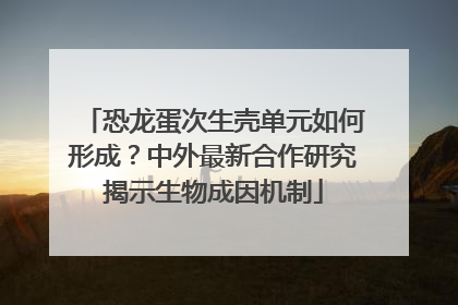 恐龙蛋次生壳单元如何形成？中外最新合作研究揭示生物成因机制