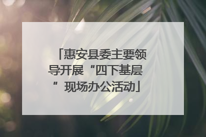 惠安县委主要领导开展“四下基层”现场办公活动