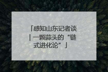 感知山东记者谈｜一颗蒜头的“链式进化论”