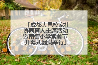 成都大邑校家社协同育人主题活动暨南街小学紫藤节开幕式圆满举行