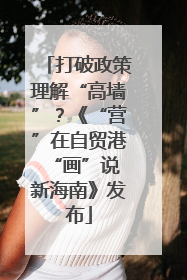 打破政策理解“高墙”？《“营”在自贸港 “画”说新海南》发布