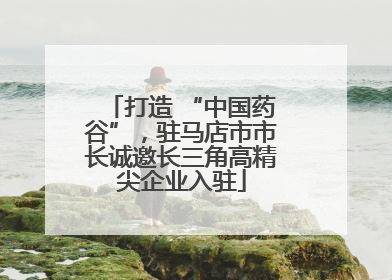 打造 “中国药谷”，驻马店市市长诚邀长三角高精尖企业入驻