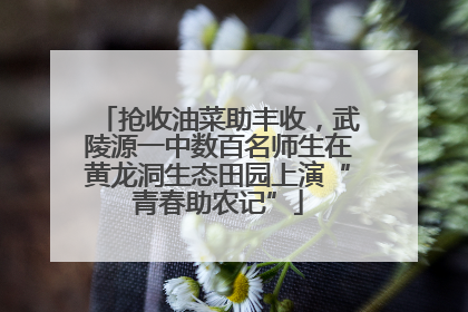 抢收油菜助丰收，武陵源一中数百名师生在黄龙洞生态田园上演“青春助农记”