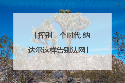 挥别一个时代 纳达尔这样告别法网