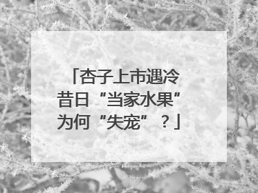 杏子上市遇冷 昔日“当家水果”为何“失宠”？