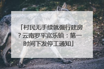 村民无手续就强行建房？云南罗平富乐镇：第一时间下发停工通知