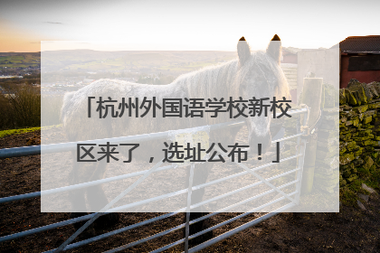 杭州外国语学校新校区来了，选址公布！