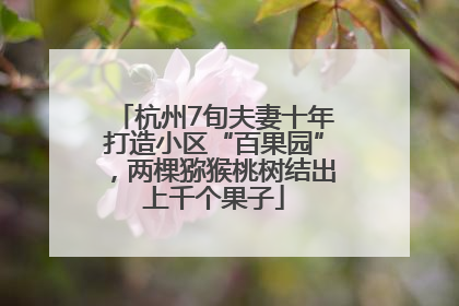 杭州7旬夫妻十年打造小区“百果园”，两棵猕猴桃树结出上千个果子