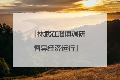 林武在淄博调研督导经济运行