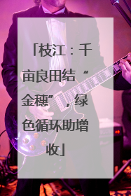 枝江：千亩良田结“金穗”，绿色循环助增收