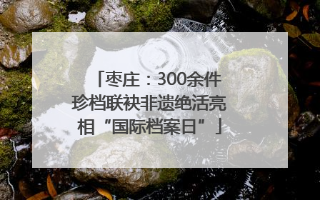 枣庄：300余件珍档联袂非遗绝活亮相“国际档案日”