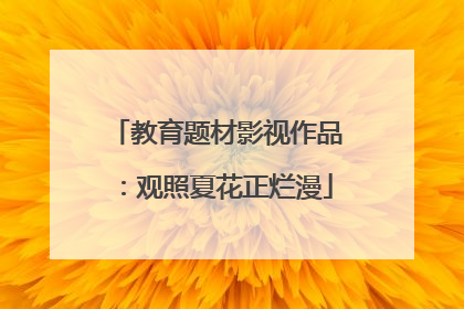 教育题材影视作品：观照夏花正烂漫