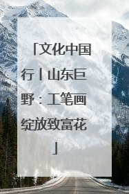 文化中国行丨山东巨野：工笔画绽放致富花