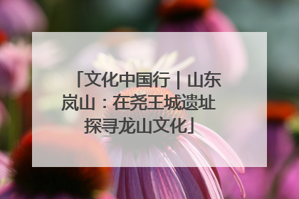 文化中国行｜山东岚山：在尧王城遗址探寻龙山文化
