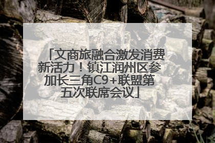 文商旅融合激发消费新活力！镇江润州区参加长三角C9+联盟第五次联席会议