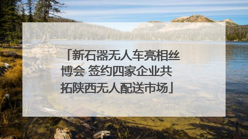 新石器无人车亮相丝博会 签约四家企业共拓陕西无人配送市场