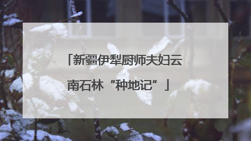 新疆伊犁厨师夫妇云南石林“种地记”