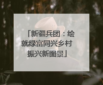 新疆兵团：绘就绿富同兴乡村振兴新图景