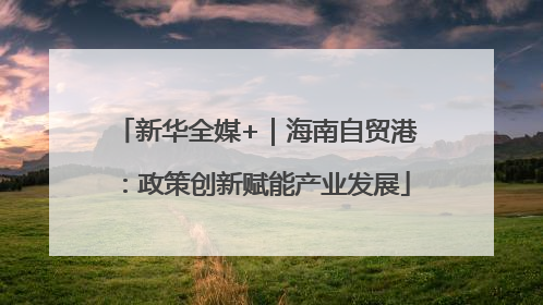 新华全媒+｜海南自贸港：政策创新赋能产业发展