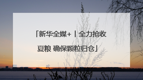 新华全媒+丨全力抢收夏粮 确保颗粒归仓