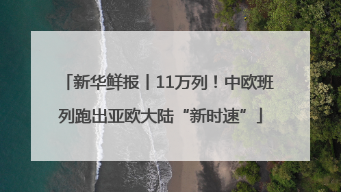 新华鲜报丨11万列！中欧班列跑出亚欧大陆“新时速”