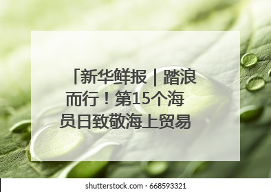 新华鲜报｜踏浪而行！第15个海员日致敬海上贸易“守护人”