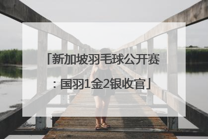 新加坡羽毛球公开赛：国羽1金2银收官