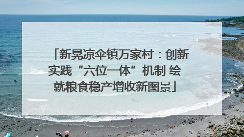 新晃凉伞镇万家村：创新实践“六位一体”机制 绘就粮食稳产增收新图景