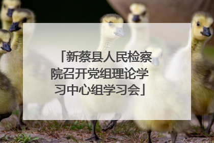 新蔡县人民检察院召开党组理论学习中心组学习会