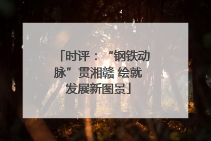 时评：“钢铁动脉”贯湘赣 绘就发展新图景