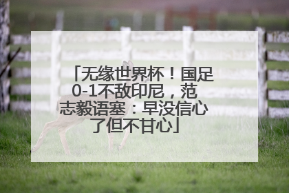 无缘世界杯！国足0-1不敌印尼，范志毅语塞：早没信心了但不甘心