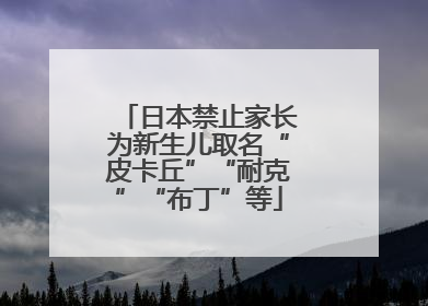 日本禁止家长为新生儿取名“皮卡丘”“耐克”“布丁”等