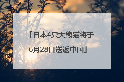 日本4只大熊猫将于6月28日送返中国