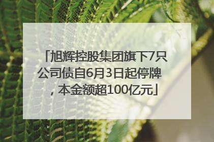 旭辉控股集团旗下7只公司债自6月3日起停牌，本金额超100亿元