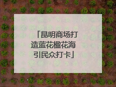 昆明商场打造蓝花楹花海引民众打卡